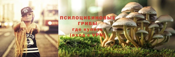 не бодяженный Алзамай