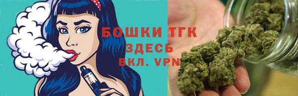 меф Долгопрудный