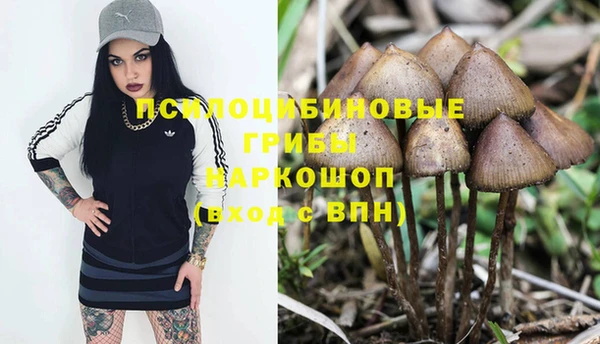 не бодяженный Алзамай