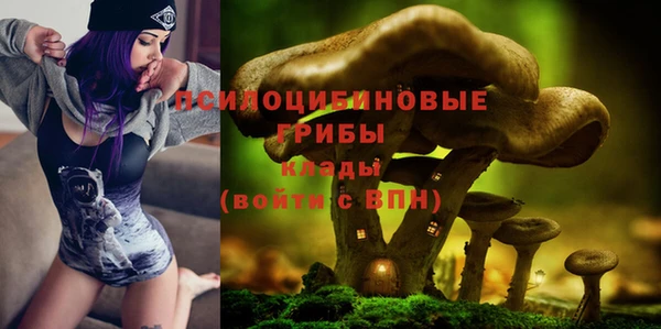 не бодяженный Алзамай