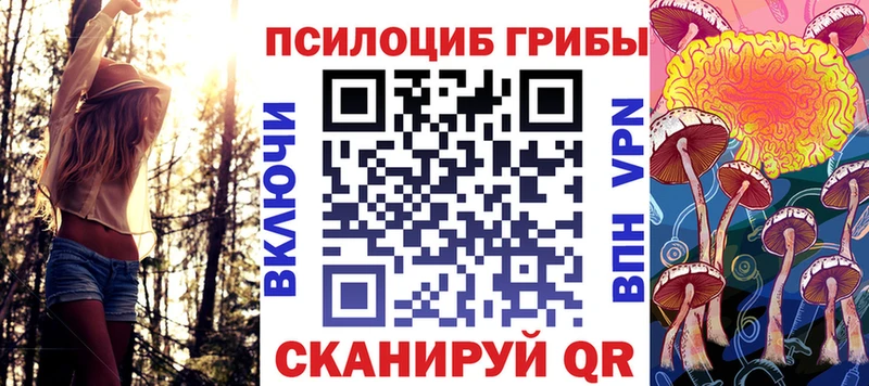 как найти   Игра  Галлюциногенные грибы Cubensis 